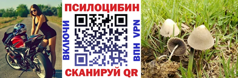 Псилоцибиновые грибы Psilocybe  Пласт 